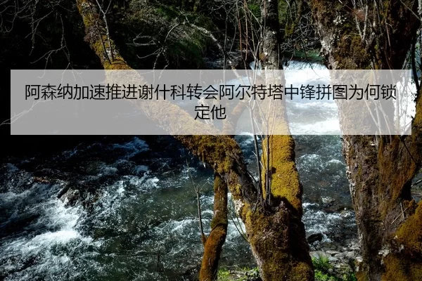 阿森纳加速推进谢什科转会阿尔特塔中锋拼图为何锁定他
