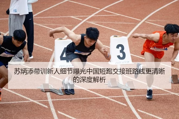 苏炳添带训新人细节曝光中国短跑交接班路线更清晰的深度解析