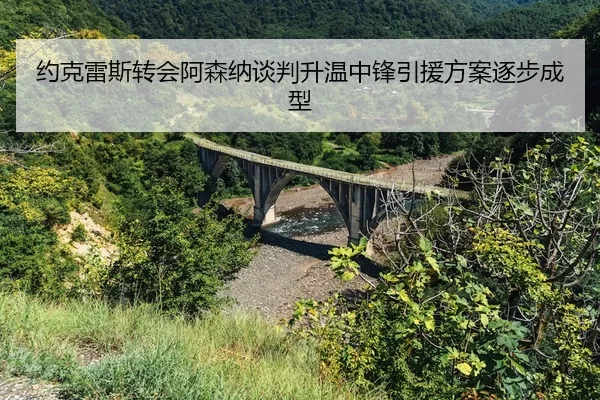 约克雷斯转会阿森纳谈判升温中锋引援方案逐步成型