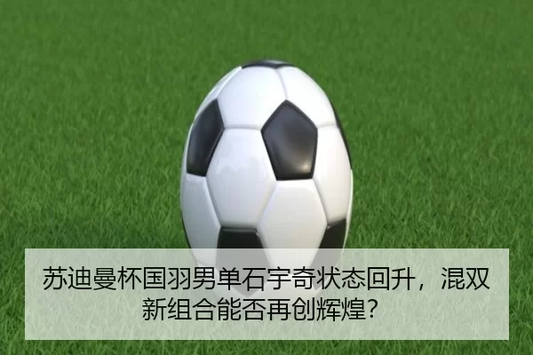 su-di-man-bei-guo-yu-nan-dan-shi-yu-qi-zhuang-tai-hui-sheng-hun-shuang-xin-zu-he-neng-fou-zai-chuang-hui-huang-2-252.jpg