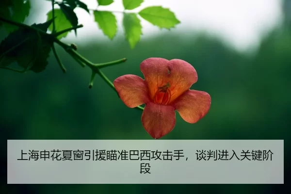 shang-hai-shen-hua-xia-chuang-yin-yuan-miao-zhun-ba-xi-gong-ji-shou-tan-pan-jin-ru-guan-jian-jie-duan-2-504.jpg