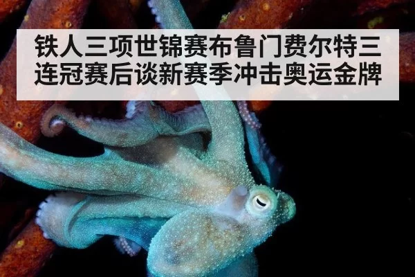 铁人三项世锦赛布鲁门费尔特三连冠赛后谈新赛季冲击奥运金牌