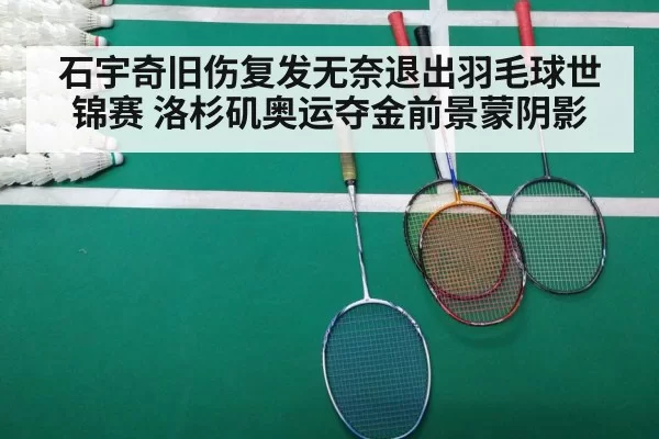badminton match court