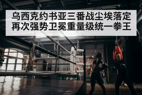 boxer training
